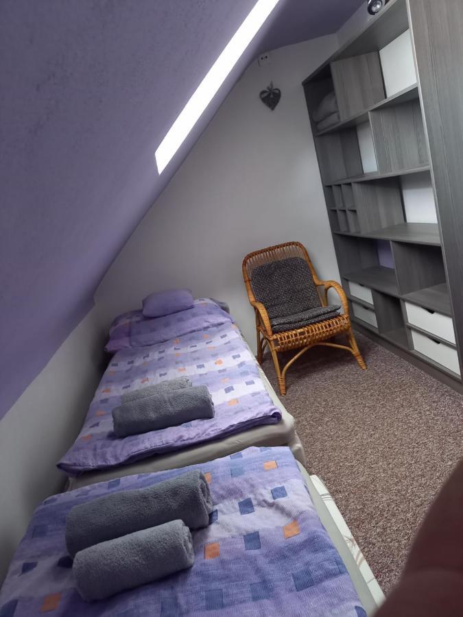 Apartman Vysocina Zvole  المظهر الخارجي الصورة