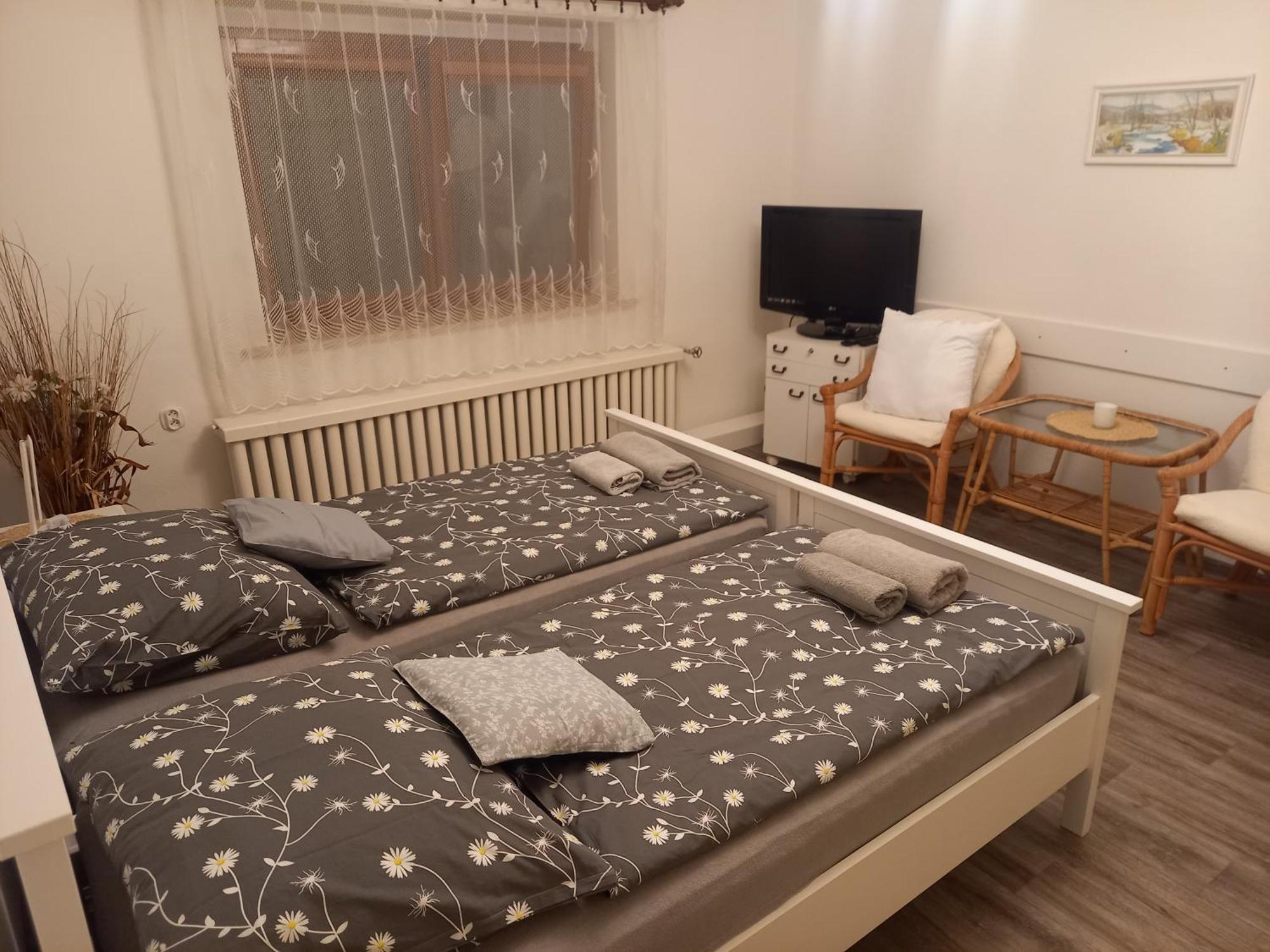 Apartman Vysocina Zvole  المظهر الخارجي الصورة
